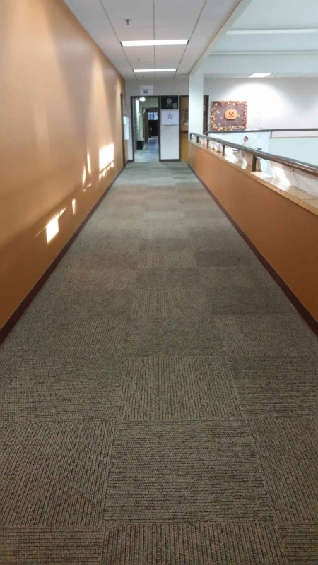 Carpet Cleaning Eau Claire Wi Upholstery Cleaners Maug Carpet Upholstery And Rug Cleaning In Eau Claire Wi
